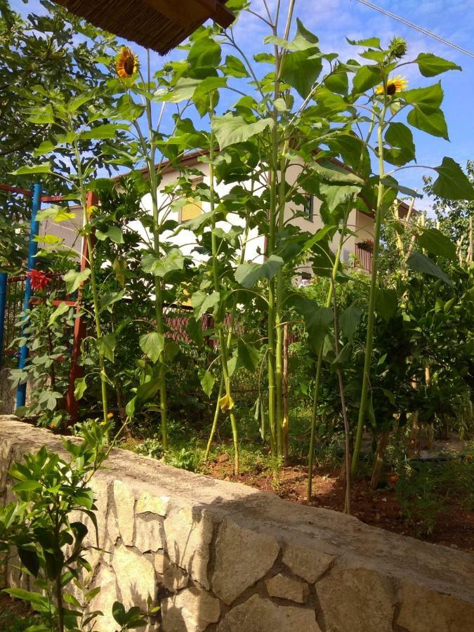 Apartman Vivian بولا المظهر الخارجي الصورة