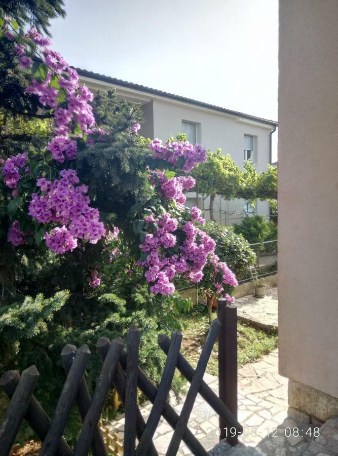 Apartman Vivian بولا المظهر الخارجي الصورة