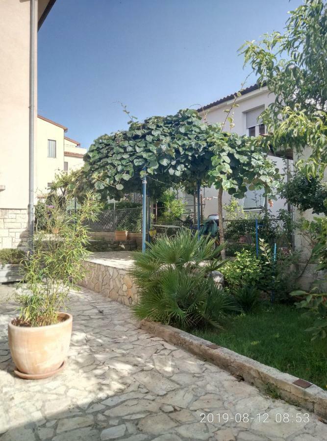Apartman Vivian بولا المظهر الخارجي الصورة